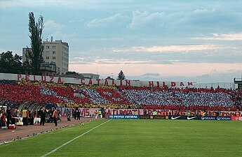 Peluza Catalin Hildan