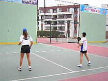 Paleta Fronton 2.jpg