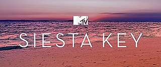 <i>Siesta Key</i> (TV series) 2017 American reality television series