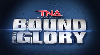 <span class="mw-page-title-main">Bound for Glory (wrestling pay-per-view)</span> TNA Wrestling pay-per-view event series