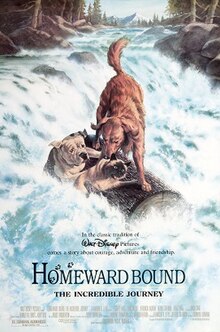 Homeward.bound dvd cover.jpg