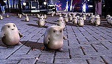 Adipose.jpg