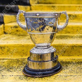 <span class="mw-page-title-main">Clare Senior Hurling Championship</span> Annual hurling competition