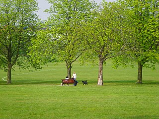 <span class="mw-page-title-main">Sunny Hill Park</span>