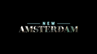 <i>New Amsterdam</i> (2018 TV series) American medical drama television series