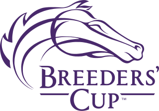 <span class="mw-page-title-main">Breeders' Cup</span> Grade I Thoroughbred horse racing