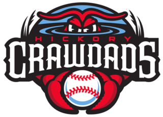 <span class="mw-page-title-main">Hickory Crawdads</span> Minor league baseball team