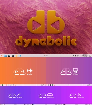 dyne:bolic Linux distribution