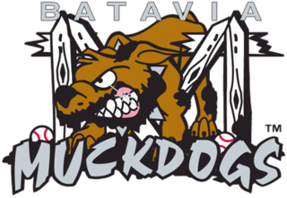 <span class="mw-page-title-main">Batavia Muckdogs</span> Collegiate summer baseball team