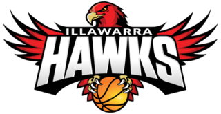 <span class="mw-page-title-main">Illawarra Hawks</span> Australian basketball team