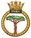 STURDY badge-1-.jpg