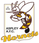 Aspley afc logo.png