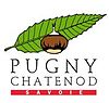 Image illustrative de l’article Pugny-Chatenod