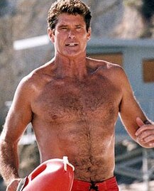 David Hasselhoff as Mitch Buchannon.