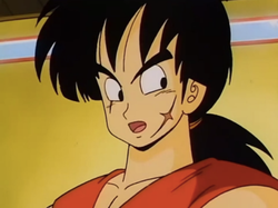 Yamcha a Dragon Ball Z című animében