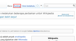 Image of Wikipedia showing the edit link above the page title. Screen readers may show this under the "views" heading.