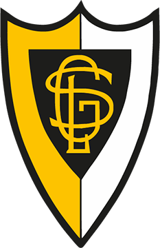 Grupo Sportivo de Loures