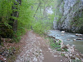 Imagine din sit (Cheile Vârghișului)