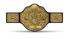 The Big Gold Belt represented the WCW International World Heavyweight Championship from 1993–94.