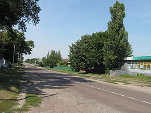 Траса у Вертіївці пролягає повз село, серпень 2009 року.