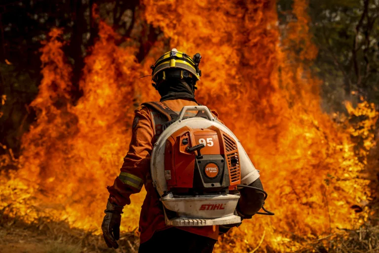 Bombeiro em combate a incêndio florestal