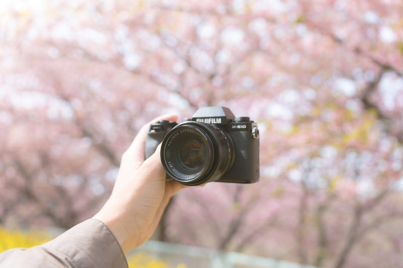 お花見中に自撮りの写真