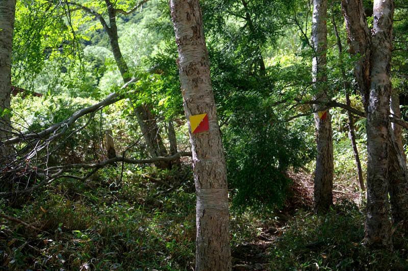 登山道を示す栃木県特有の指導標の写真