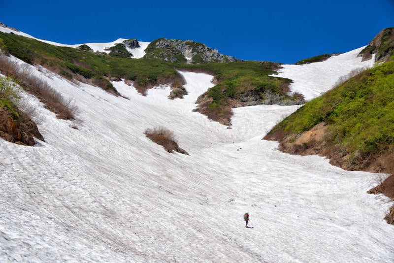 針ノ木岳の雪渓に挑む登山者の写真