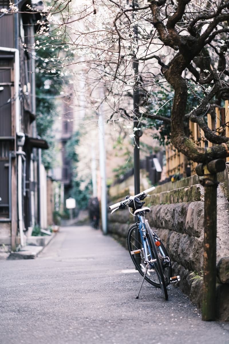 梅の花と路地に停まった自転車の写真