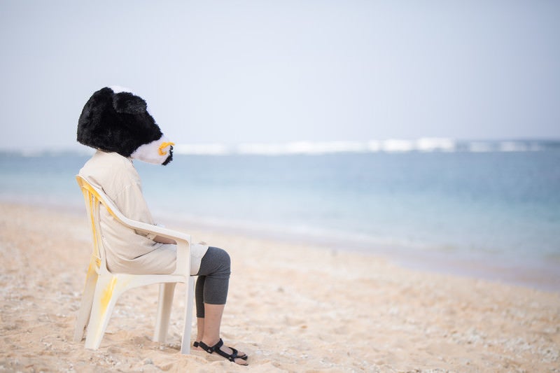 宮古島の美しい海を見て失恋の傷を癒やす牛ガールの写真