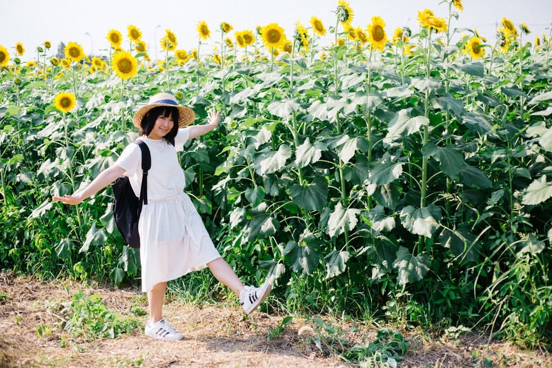 ひまわり畑ではしゃぐ彼女の写真