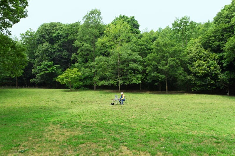 森林公園でノマドなうの写真