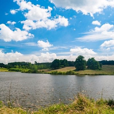 水辺の自然公園の写真