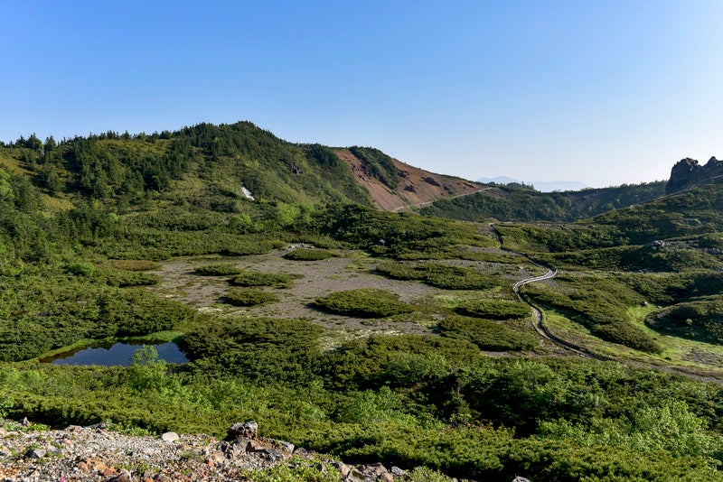 登山道が整備された本白根山火口（草津白根山）の写真