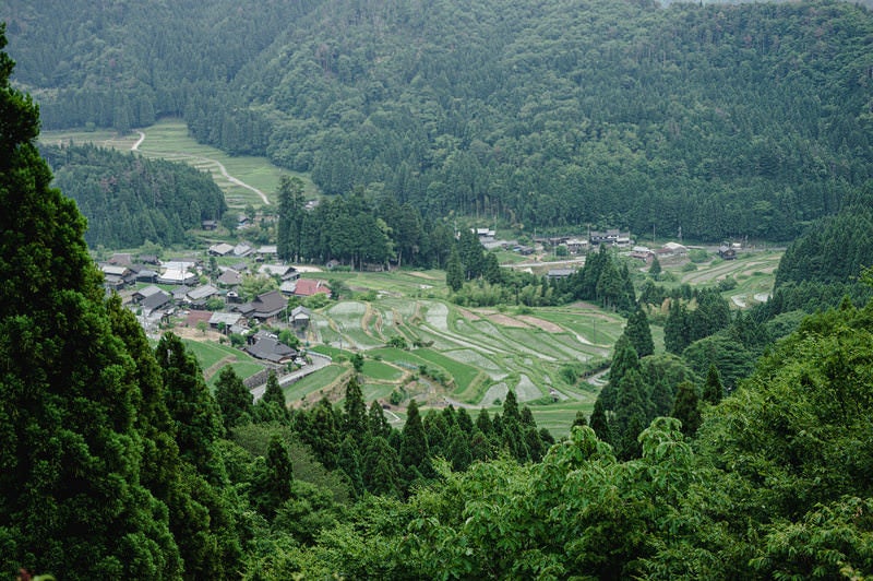 畑の棚田の写真