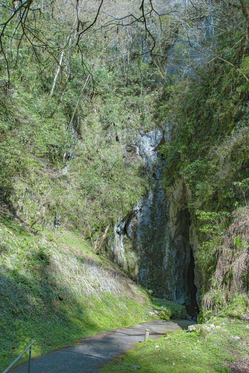 「岡山県真庭市にある備中鍾乳穴の入り口」の写真