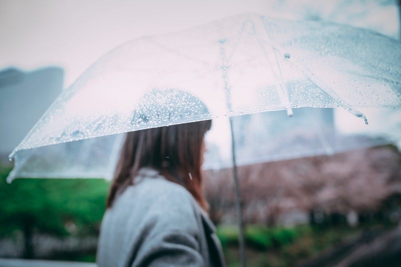 ビニール傘に付く雨粒の写真