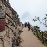 These iconic llamas please the visitors almost as much as Machu Picchu does