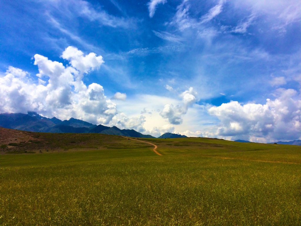 You just want to frolic through these fields, trust me. 