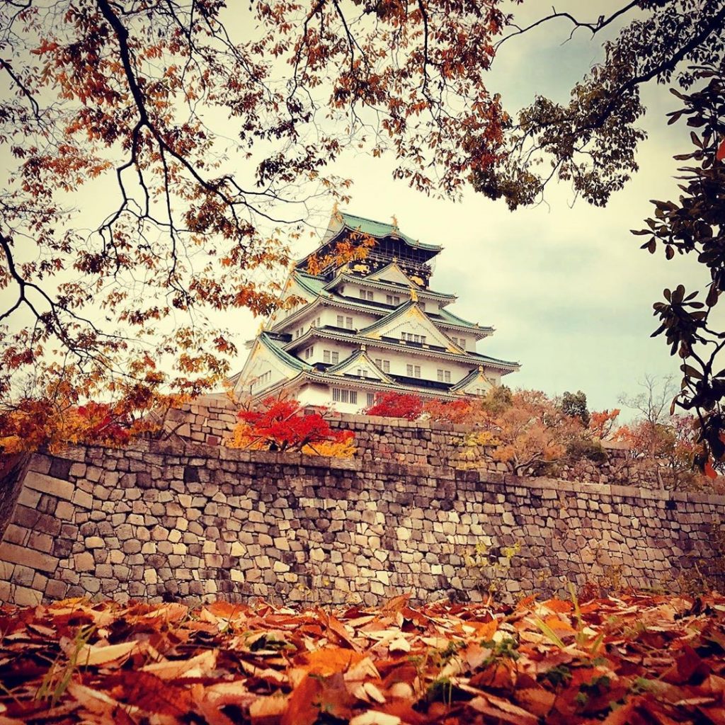 Himeji Castle photo credit: @danminsighttd