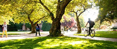 Fall Campus scene on the quad