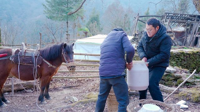 经过6小时跋涉，终于到达原始森林深处，只为找到优质土蜂蜜