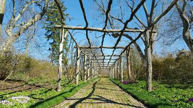 Old Westbury Gardens