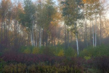 Otter Creek Preserve