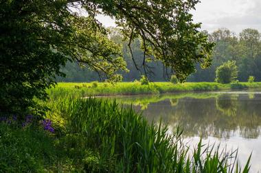 Caumsett State Park, Huntington - 45 min From NYC