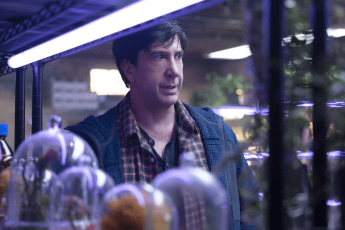 David Schwimmer in Goosebumps: The Vanishing