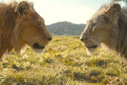 MUFASA: THE LION KING, from left: Mufasa (voice: Aaron Pierre), Taka (voice: Kelvin Harrison Jr.), 2024. © Walt Disney Studios Motion Pictures / courtesy Everett Collection