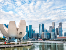 Singapore Data Protection Officers: Everything You Need to Know