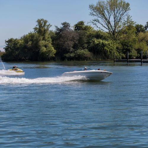 Powerboats riding on Delta waters