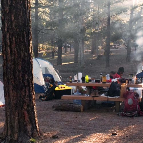 Group camping near picnic table in the Delta